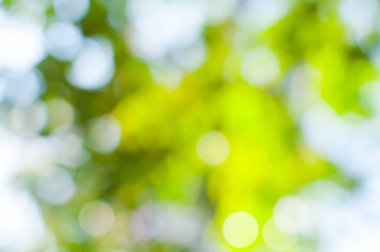 Bokeh ışıkları arka plan olarak kullanılıyor, eko kavramı