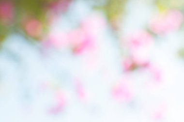 Bokeh ışıkları arka plan olarak kullanılıyor, eko kavramı