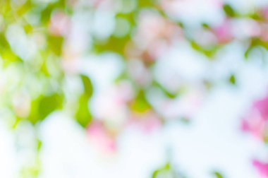 Bokeh ışıkları arka plan olarak kullanılıyor, eko kavramı