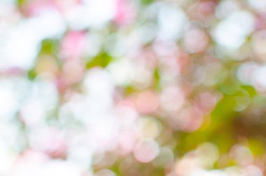 Bokeh ışıkları arka plan olarak kullanılıyor, eko kavramı