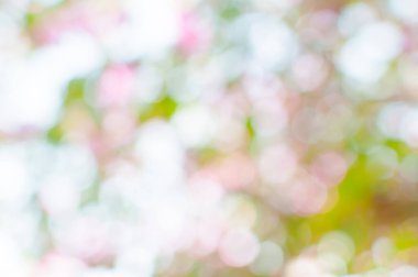 Bokeh ışıkları arka plan olarak kullanılıyor, eko kavramı