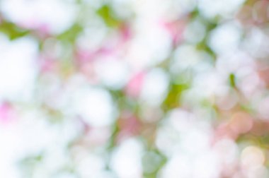 Bokeh ışıkları arka plan olarak kullanılıyor, eko kavramı