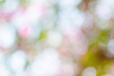 Bokeh ışıkları arka plan olarak kullanılıyor, eko kavramı