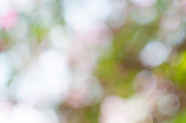 Bokeh ışıkları arka plan olarak kullanılıyor, eko kavramı