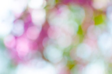 Bokeh ışıkları arka plan olarak kullanılıyor, eko kavramı