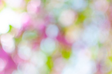 Bokeh ışıkları arka plan olarak kullanılıyor, eko kavramı