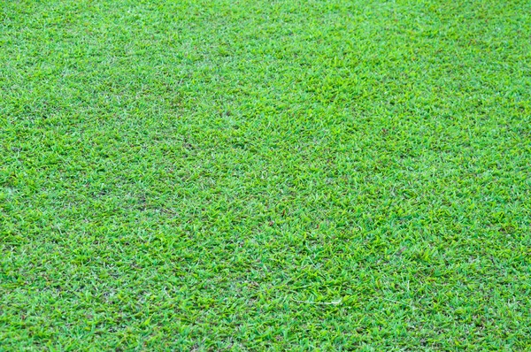 Football field green grass pattern textured background , textured grass for background