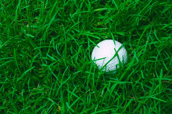 Green grass with golf ball close-up in soft focus at sunlight. Sport playground for golf club concept