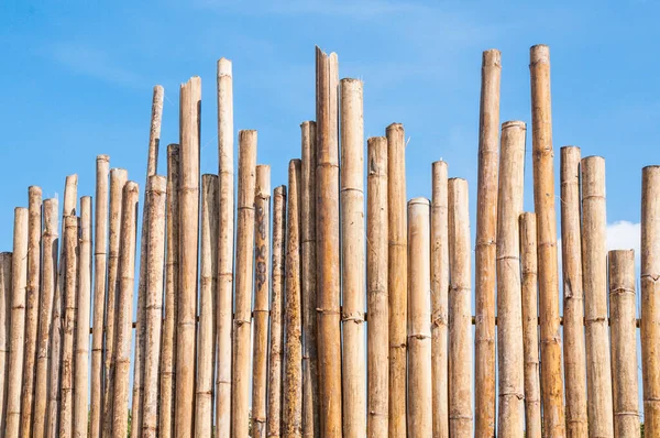 Красивый Бамбуковый Забор Голубым Небом — стоковое фото