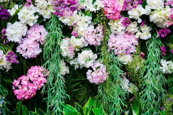Schöne Hortensie Blumen Wand Mit Einer Vielzahl Von Blumen Für — Stockfoto
