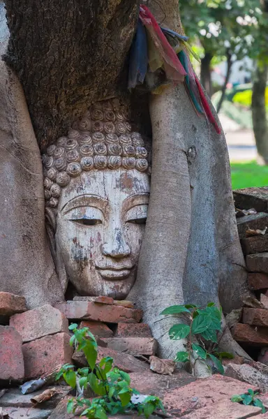 Buddha Kopf Banyan Baum Archäologischer Stätte Nordthailand Tradition Thai Art — Stockfoto