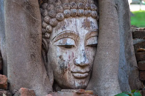 Buddha Testa Banyan Albero Nel Sito Archeologico Thailandia Del Nord — Foto Stock