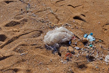 Plastik torbalar plajda atık doğayı kirletirken bırakılıyor, Plastik 'i ayrıştırmak, ekosistemi, Dünya Çevre Günü konseptini yok etmek zor. Sahilde çöp döküldü.