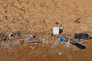 Plastik su şişeleri plaja atık doğayı kirletirken bırakılır, Plastik 'i bozmak, ekosistemi yok etmek zordur, Dünya Çevre Günü konseptini..