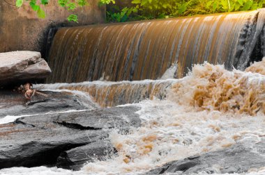Yeşil ormanda çağlayan şelale, küçük bir şelaleden dökülen köpüklü su.
