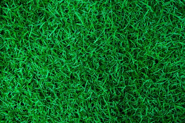 Натуральна Зелена Текстура Трави Краплями Води Ідеальний Фон Гольфу Або — стокове фото