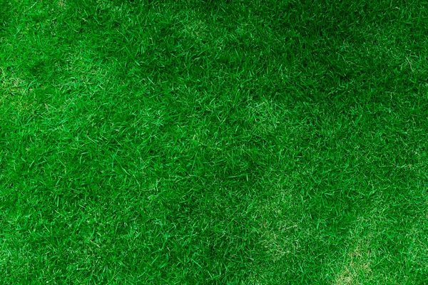 Textura Grama Verde Natural Golfe Perfeito Fundo Campo Futebol Vista — Fotografia de Stock