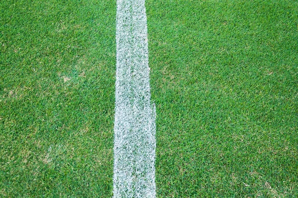 サッカー場の実質の緑の草の質 サッカー場の屋外 サッカー場のライン — ストック写真