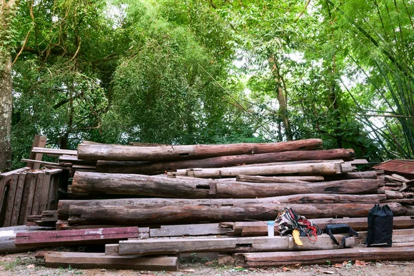 톱질로 수송을 기다리기에 두꺼운 통나무를 쌓입니다 숲에서 Woodpile와 — 스톡 사진