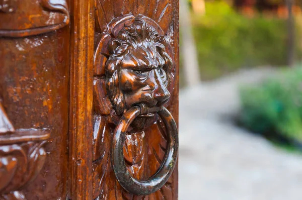 Традиційні Двері Стукають Різьблені Дерев Яні Двері Залізо Показуючи Обличчя — стокове фото