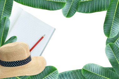 Kalem ve hasır şapkalı defter çerçeve yeşil yapraklı doğa beyaz arkaplanda izole edilir