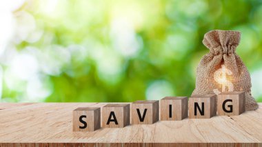 Tahta bloklar kelime tasarrufu ve yatırım kredisi için Amerikan Doları çanta planlanan gelecek konsept. Tasarruf, hayır kurumu, aile finans planı, bağış toplama, üst yönetim, mali kriz konsepti