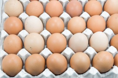 Kağıt tepside yumurta, yumurta kutusunda kahverengi yumurta.