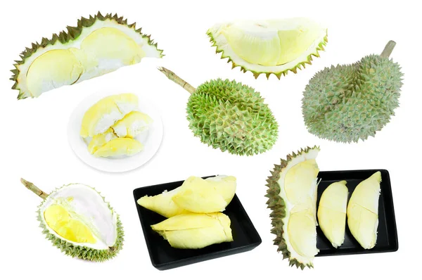 Durian Collectie Koning Van Vruchten Geïsoleerd Witte Achtergrond Durian Een — Stockfoto