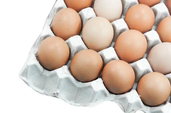 Яйца Подносе Изолированы Белом Коричневые Яйца Коробке Яйцами — стоковое фото