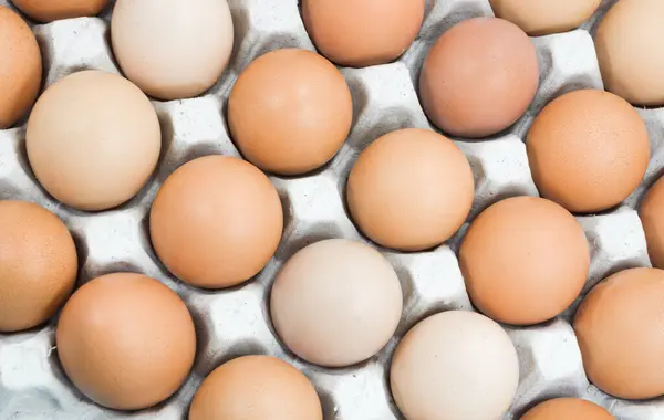Яйца Подносе Белом Коричневые Яйца Коробке Яйцами — стоковое фото