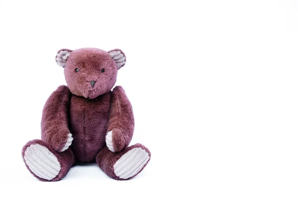 Brown Teddy Bear Doll Sitting Isolated White Background — Stock Photo, Image
