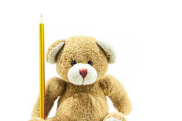 Brinquedo Ursinho Pelúcia Marrom Sentado Segurando Lápis Amarelo Fundo Branco — Fotografia de Stock