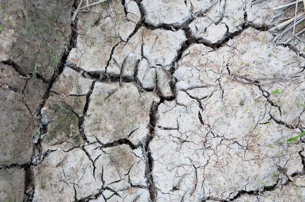 Rissige Und Unfruchtbare Böden Trockener Boden Mit Strukturiertem Hintergrund — Stockfoto