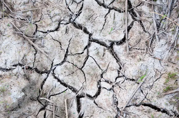 Cracked Barren Ground Dry Soil Textured Background — Stock Photo, Image