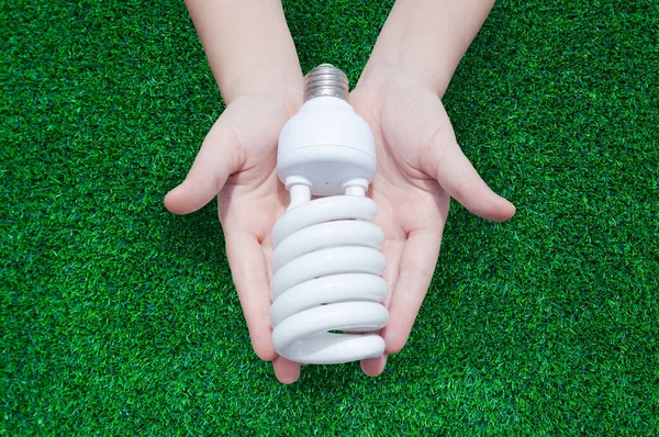 Energibesparing Koncept Kvinna Hand Hålla Glödlampa Gräs Bakgrund Idéer Glödlampa — Stockfoto