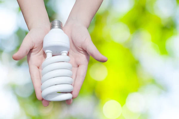 Energibesparande Koncept Kvinna Hand Hålla Glödlampa Grön Natur Bakgrund Idéer — Stockfoto