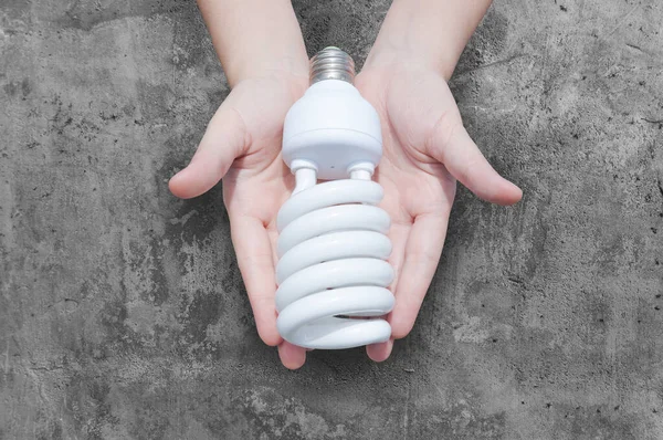 Energibesparande Koncept Kvinna Hand Hålla Glödlampa Cement Bakgrund Idéer Glödlampa — Stockfoto