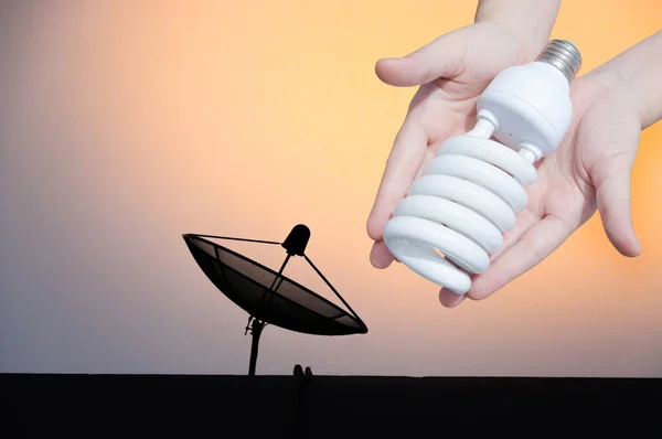 Energibesparande Koncept Kvinna Hand Hålla Glödlampa Parabolantenn Bakgrund Idéer Glödlampa — Stockfoto