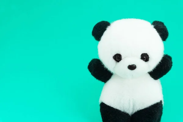 Лялька Панда Чорно Біла Чорний Ободок Очей Іграшка Панди Дітей — стокове фото