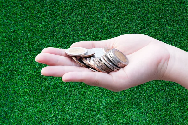 Coins in hands on grass,Donation Investment Fund Financial Support Charity  Dividend Market Growth Home House Stock Trust Wealthy Giving Planned Accounting Collection Debt Banking ROI concept