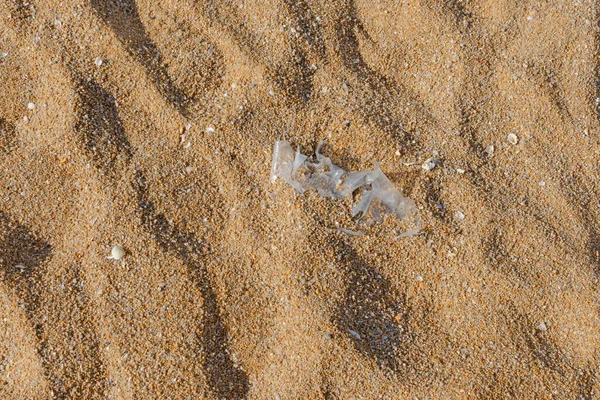 塑料袋被留在海滩上作为废弃物污染的自然 塑料很难降解 破坏了生态系统 世界环境日的概念 海滩上的垃圾外溢 — 图库照片