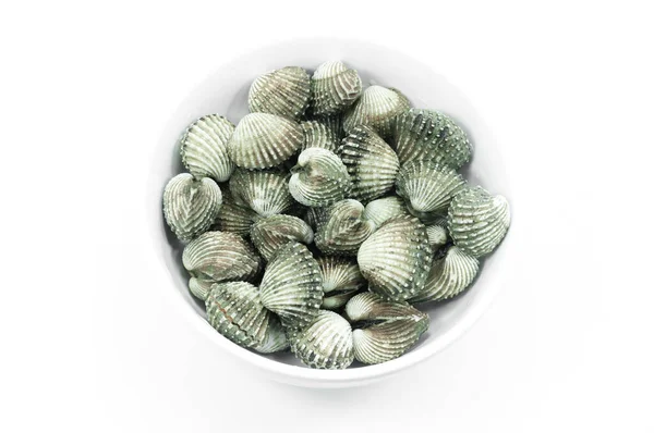 Roughly Cockle Seafood White Background — Stock Photo, Image