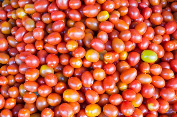 Куча Помидоров Solanum Lycopersicum Продажи Рынке Крупный План Красных Помидоров — стоковое фото