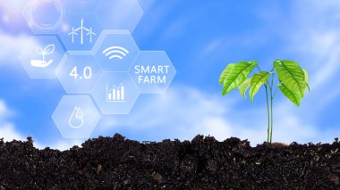 Teknolojik akıllı çiftçiliğin siber görüntüsüne sahip genç bir bitki 4.0 Akıllı tarım ve tarım İnovasyon Kavramı, Akıllı tarım kavramı.