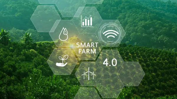 Smart farm, agriculture concept with infographics Smart farming and precision agriculture 4.0 with visual icon, digital technology agriculture and smart farming concept.