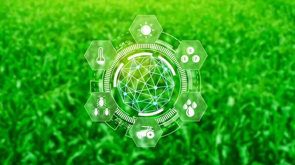Infographics smart farming and precision agriculture with visual icon, Innovation technology for smart farm system, Agriculture management, smart technology concept modern technology.