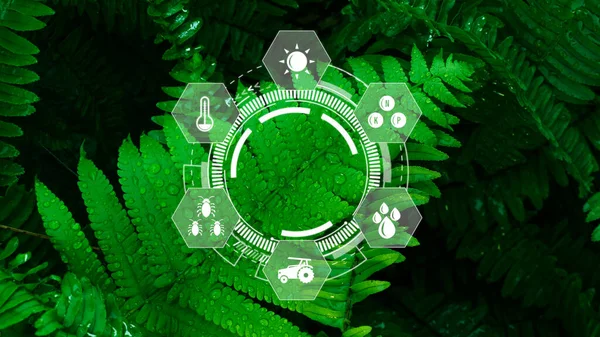 Infographics smart farming and precision agriculture with visual icon, Innovation technology for smart farm system, Agriculture management, smart technology concept modern technology.
