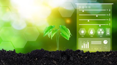 Güneş ışığında büyüyen genç bitki tohumu, çevre ve ekoloji kavramı, yenilenebilir ve sürdürülebilir kalkınma kaynakları, dijital teknoloji tarımı ve akıllı tarım kavramı.