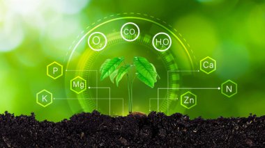 Tohum ekmeden önce kaliteli toprağı, gelecekteki tarım kavramını, bitki yetiştirmeye uygunluğunu, güneş ışığını, sıcaklığı, nemi, ph, modern tarım teknolojisini kullanarak tarımı kontrol ediyorum..