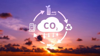 CO2, küresel ısınmayı iklim değişikliğinden sınırlamak için karbon ayak izi ve karbon kredisini azaltmak amacıyla dairesel ikona sahip ikonu küçültüyor, Biyo Dairesel Yeşil Ekonomi kavramı.